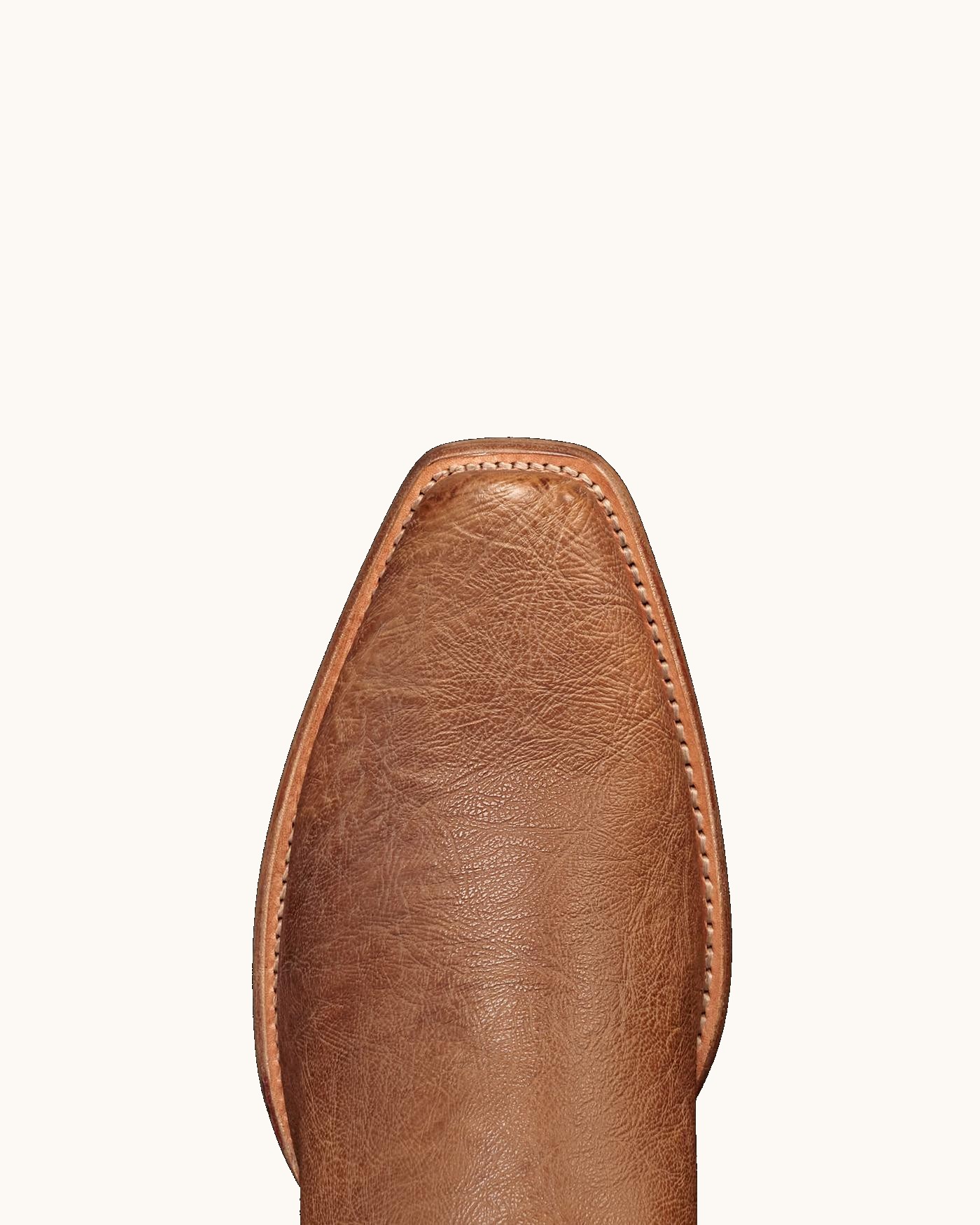 The Warren - Image 5