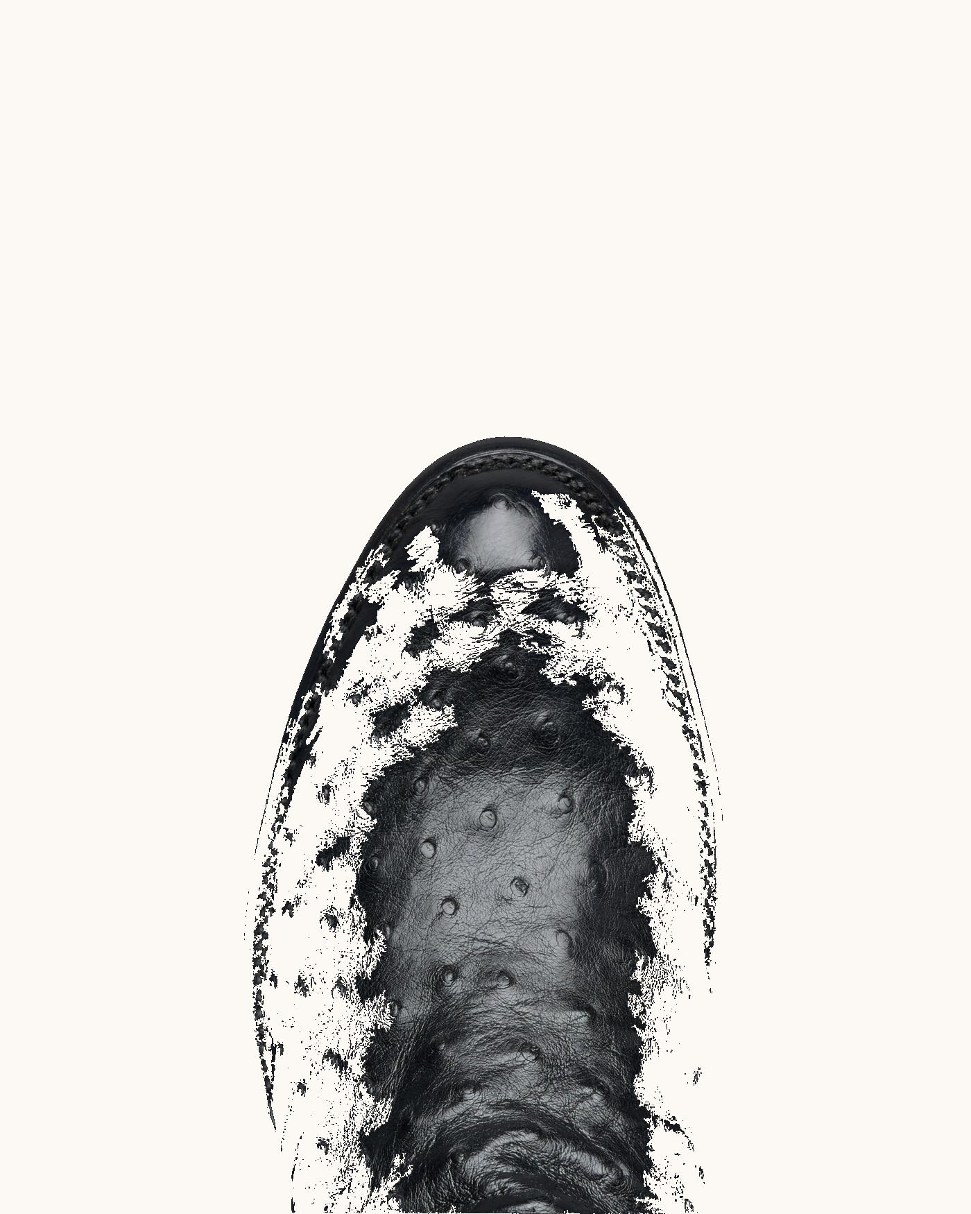 The Wyatt - Image 5