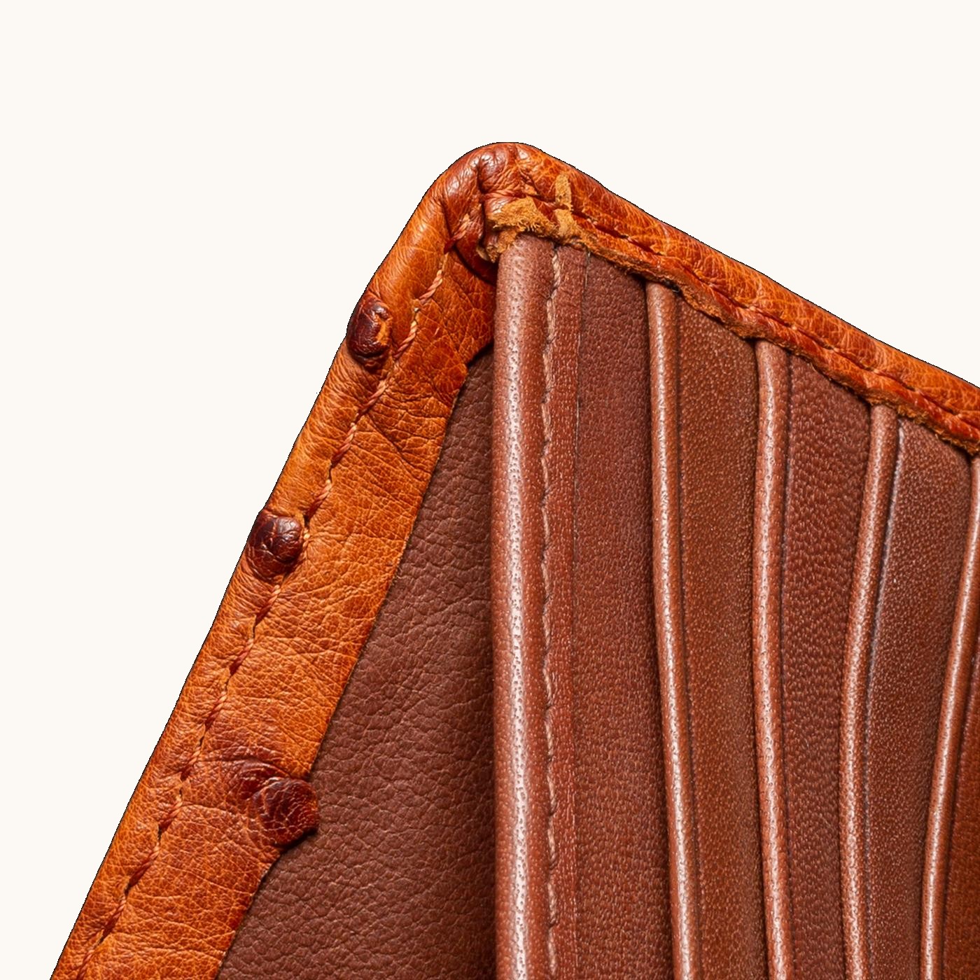 Ostrich Billfold - Image 4