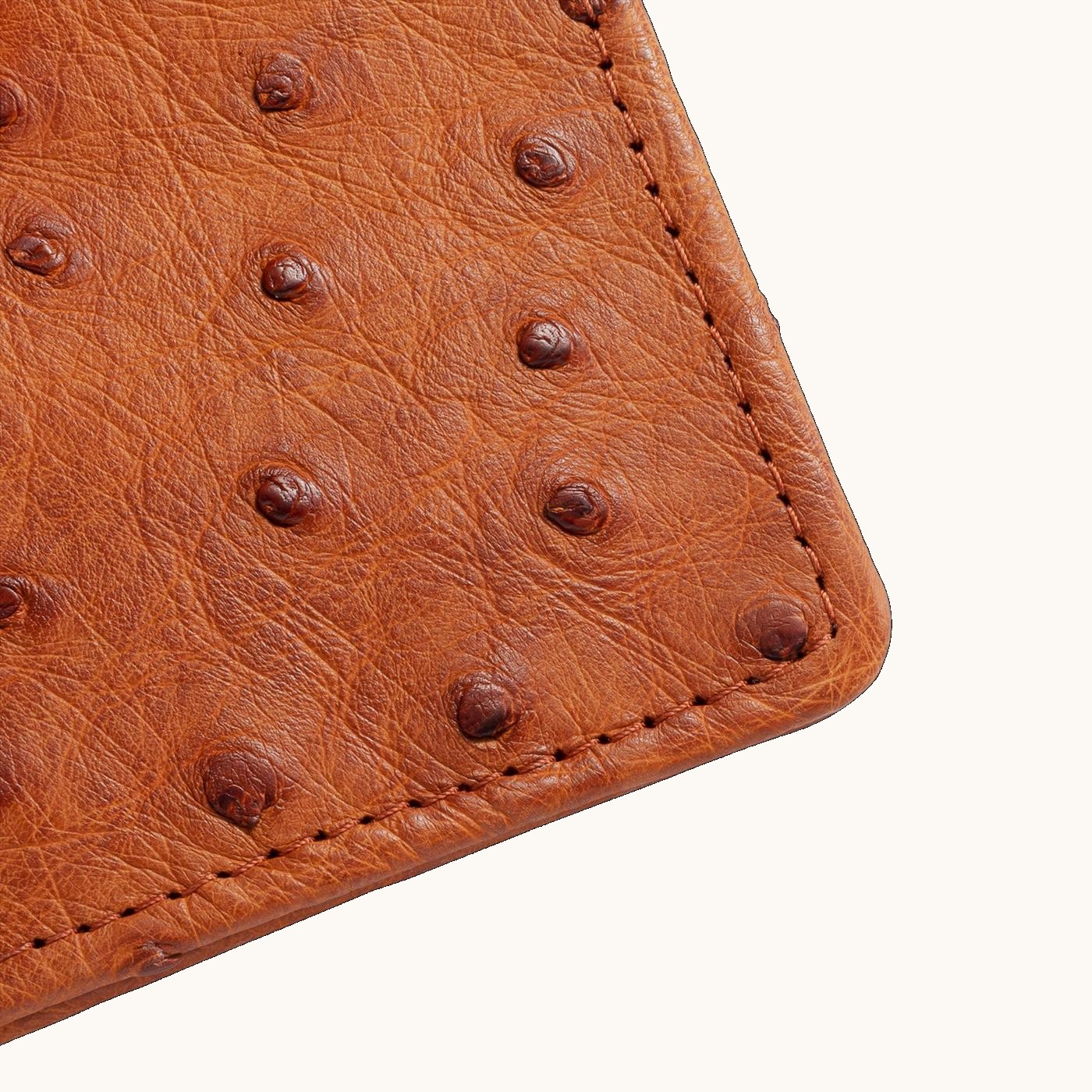 Ostrich Bifold Card Case - Image 6