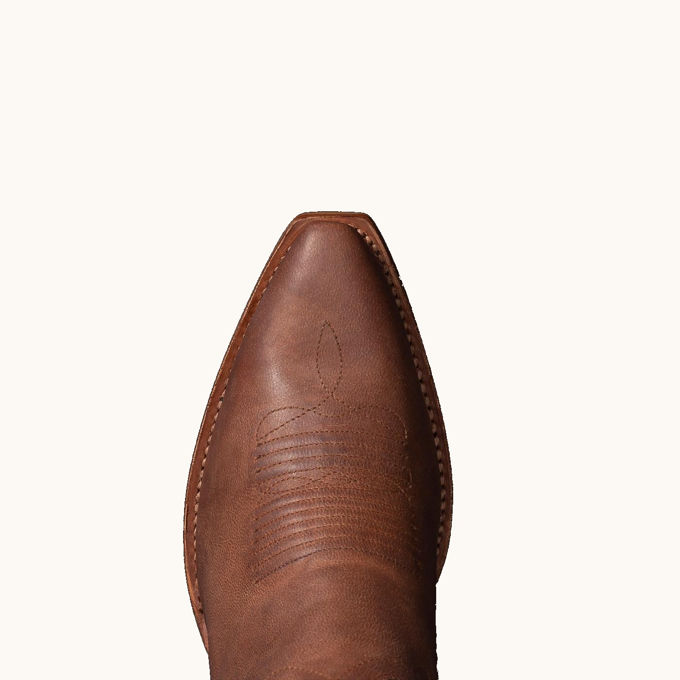 The Daisy - Image 5